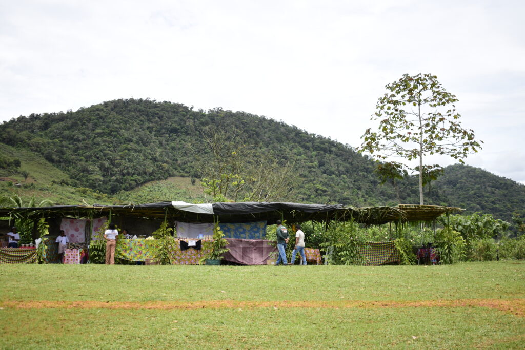 Cópia de _DSC0121
